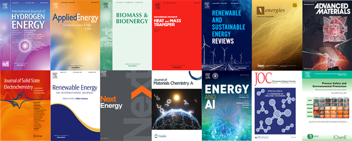 Publications (8 x 20 cm)